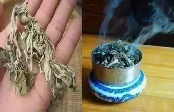 蚊子多如何有效驱蚊 最有效驱蚊的11个方法