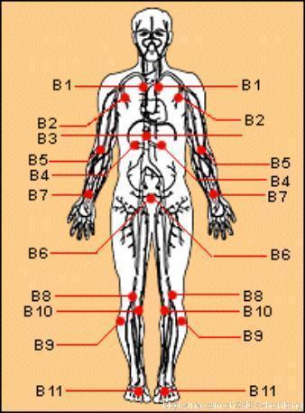 [转载]能让你多活30年的穴道按摩【图解】