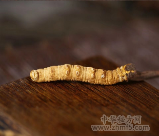 女性吃虫草有什么好处，女性经常吃虫草的功效