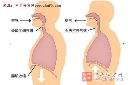 黑芝麻炒熟研碎食后呃逆可止