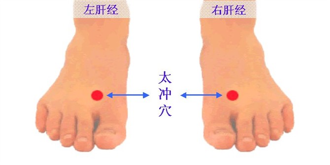 太冲穴位位置图